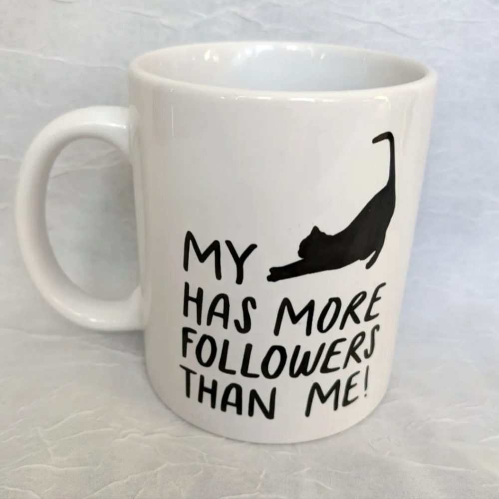 Kitty Mug My Cat Has More Followers Than Me Lover Influencer Coffee Cup Meme Tea